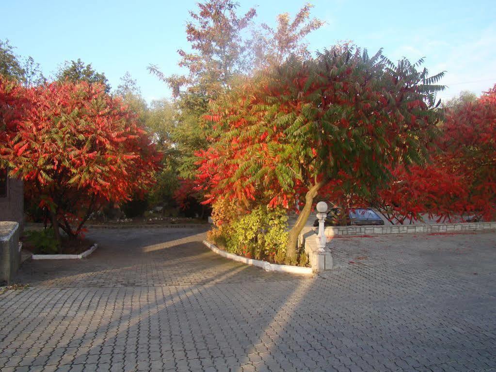 Zabava Guest House Ivano-Frankivsk Exterior photo