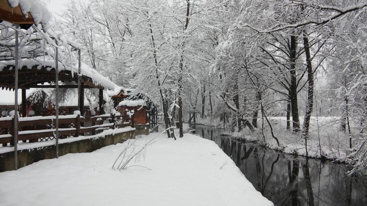 Zabava Guest House Ivano-Frankivsk Exterior photo